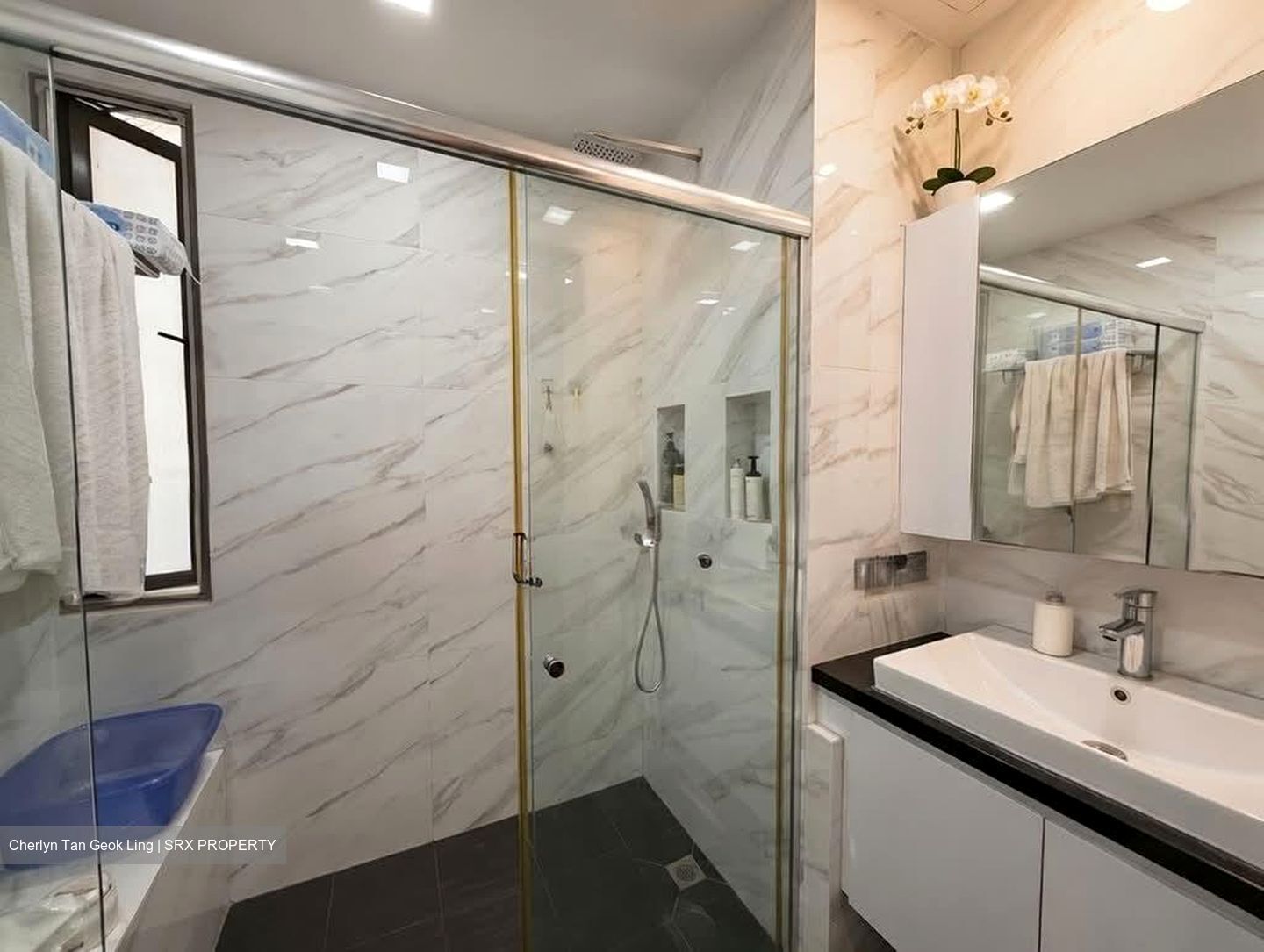 Parc Vista (D22), Condominium #570232291